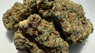 Oceanic black cookies medical cannabis review