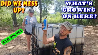 SAVING OUR WATER  | couple goals, couple builds, tiny house, homesteading, off-grid, rv life |