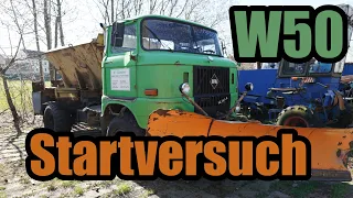 IFA W50 Allrad mit Schneepflug und Winterdienstausrüstung