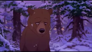 brother bear noway out '' dutch song and lyrics ''