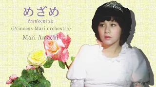 天地真理／めざめ(Princess Mari orchestra)