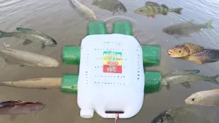 Amazing!! Smart Girl Make Fish Trap Using Plastic Bottle To Catch A Lot of Fish