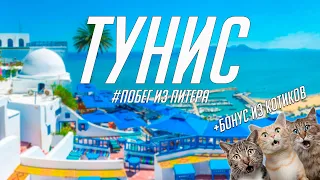 Тунис в 2021 - то что надо;)