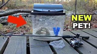 Finding a NEW PET in the Creek!!