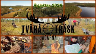 Älgjakten 2023 - avsnitt 2 - Moose Moves