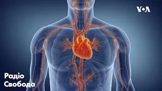 Вчені розкривають нові ризики для серця, пов'язані з COVID-19