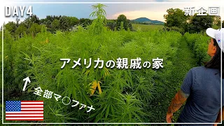 【削除覚悟】超田舎🇺🇸アメリカの親戚の家に「大麻」520本｜Readingの街