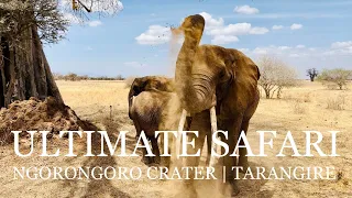 5-Day Tanzania Safari (Explore the Epic Ngorongoro Crater)