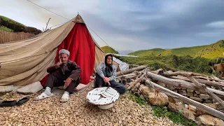 IRAN Nomadic Life : Making local sheep curd with the pleasant voice of Khaloo Ahmad