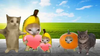 Baby Banana Cat Compilation 😺❤️ 2 Minutes #15