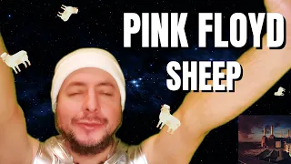 FIRST TIME HEARING Pink Floyd- "Sheep" (Reaction)