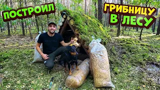 Построил грибницу в лесу! Для выращивание вешенок! Готовлю бургеры