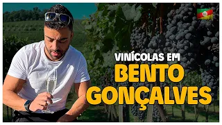 10 Vinícolas em Bento Gonçalves que você precisa conhecer.