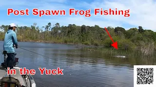 Post Spawn Frog Fishing in the Yuck