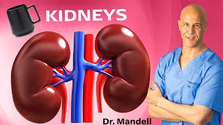 1 Cup Will Tell Your KIDNEYS to Never Give Up | Dr Alan Mandell, DC