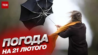 🌷 Погода на 21 лютого: в Україну приходить весна?