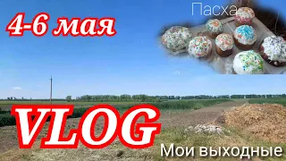 VLOG: Пасха.🥚 Мои выходные на даче. 4-6 мая.АПЕЛЬСИНLife.