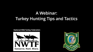 Turkey Tips and Tactics