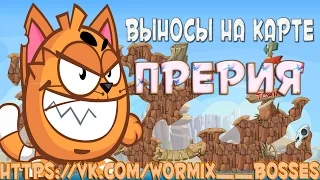 Вормикс выносы на карте Прерия