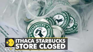 Unions on the rise in the United States: Ithaca Starbucks store closed | World English News | WION