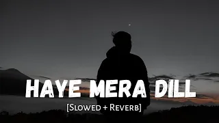 Haye Mera Dil [Slowed + Reverb] Alfaaz | Honey Singh | Lofi Vibes