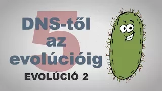 A DNS-től az evolúcióig - csak egyszerűen (5. rész)