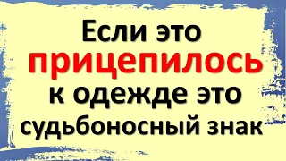 Если это прицепилось к одежде это судьбоносный знак