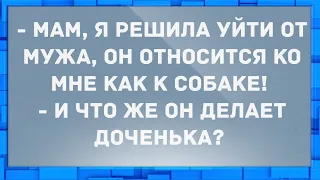 - Мам, я решила уйти от мужа. Сборник Свежих Анекдотов! Юмор!