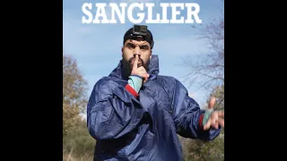 VIENS VITE : La chasse du sanglier