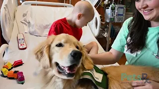 Pets Rx Comforts Patients with Animal Ambassadors