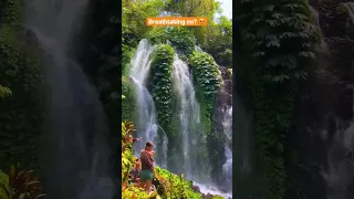 Bali Hidden Gems: the 4-in-1 Waterfalls Discovery 😍🌊🌳 #bali #waterfalls #nature #shorts