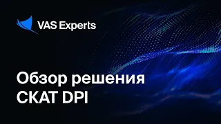 Обзор решения СКАТ DPI