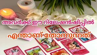 Current Feelings Of Your Person!Tarot Reading Malayalam 🌈💕🌈