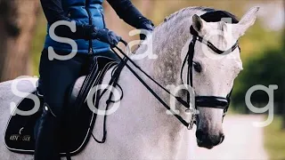 Sad Song || Dressage and Jumping Music Video ||
