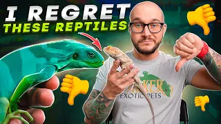I Wish I Never Got These Reptiles! I Made a HUGE Mistake!