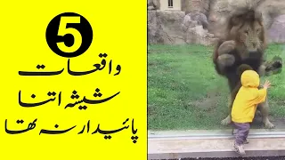 5 Times Where The Glass Was ALMOST Not Strong Enough - Purisrar Dunya - Urdu Documentary