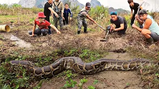 Group of Young People Who Was Fishing Was Suddenly Attacked By One Giant Snakes