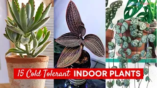 15 Cold Tolerant Indoor Plants | Houseplants for Cold Rooms