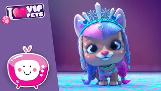 ❄️🤩 A KORI KIRÁLYNŐ 🤩❄️ VIP PETS 🌈 ÚJ KALANDOK! ⭐ ÚJ EPIZÓD ✨ Rajzfilmek Gyerekeknek MAGYAR