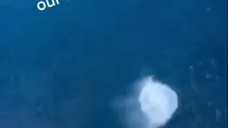 MAN JUMPS OFF CRUISE SHIP INTO OCEAN!!