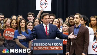 Indoctrination by cartoon? DeSantis’ latest attack on ‘woke schools.’