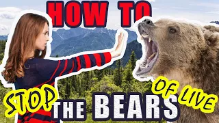 How to stop the bears of life - Curry Blake (Nederlandse ondertiteling)