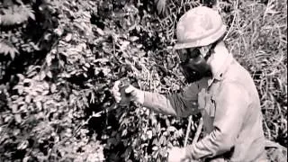 FRONTLINE VIETNAM: Tunnel Warfare & Demolitions (720p)