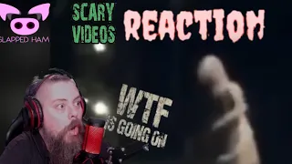 Scary Video Reaction. Slapped Ham. this gets odd!