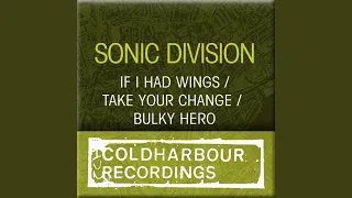 Bulky Hero (Original Mix)