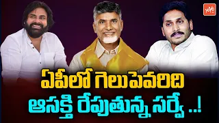 Shocking Survey 2024 Eelctions TDP + Janasena Assembly Seats | AP Election Survey 2024 | YOYO TV