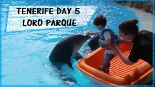 The Luckiest Boy In Loro Parque - Holiday 2017 - Tenerife - Day 5