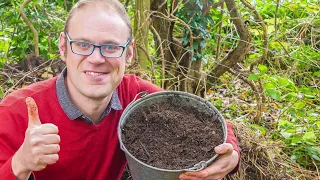 Supercharge Your Compost Heap