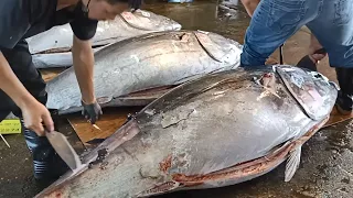 Three Over 300 kg Bluefin Tuna Cut Perfectly right now in 3 minutes