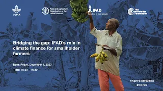 Bridging the gap: IFAD’s role in climate finance for smallholder farmers